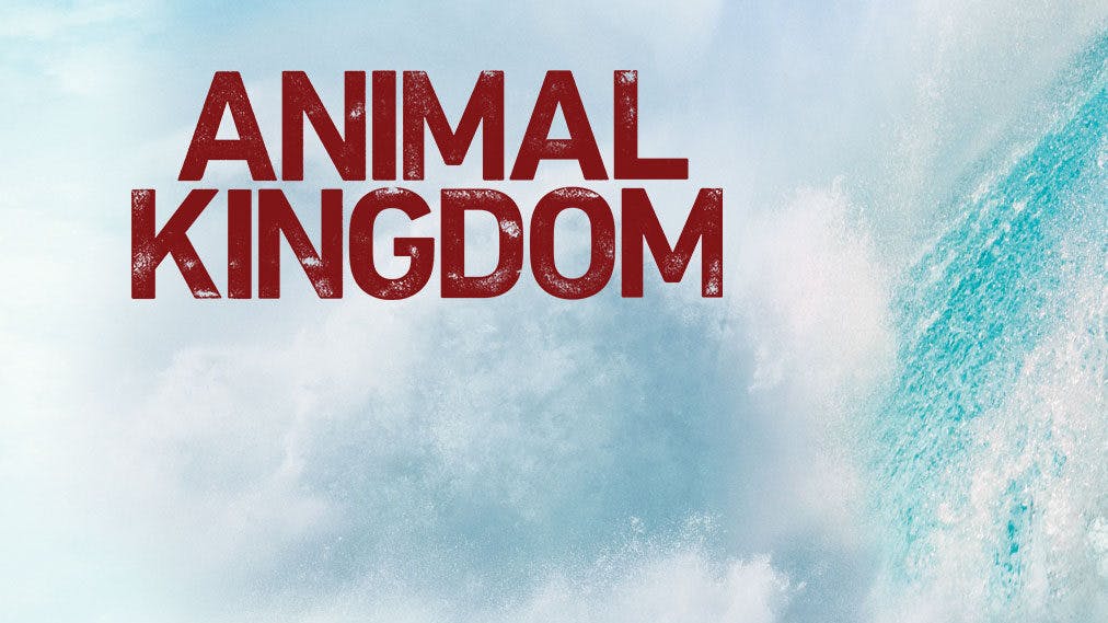 Anmeldelse af Animal Kingdom sæson 1-4