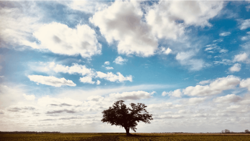 En rejse til Den dybe Syd