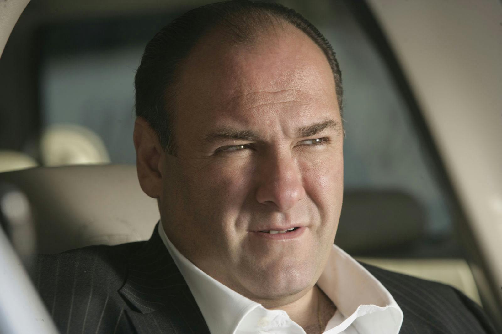 'The Sopranos'