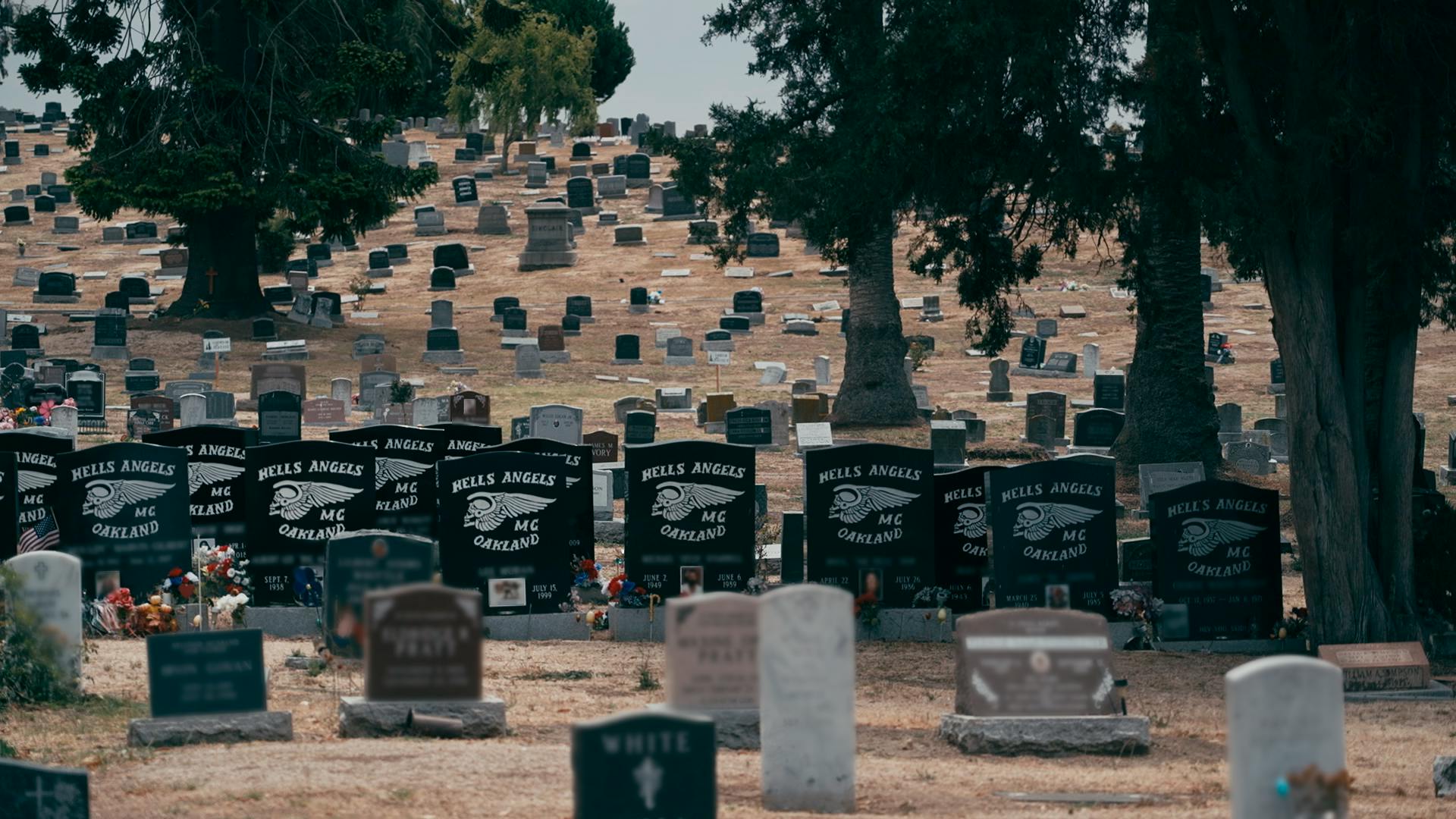 Anmeldelse Hells Angels Storhed og fald