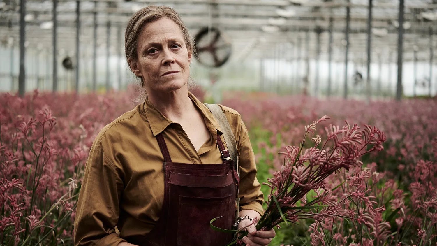 The Lost Flowers of Alice Hart anmeldelse