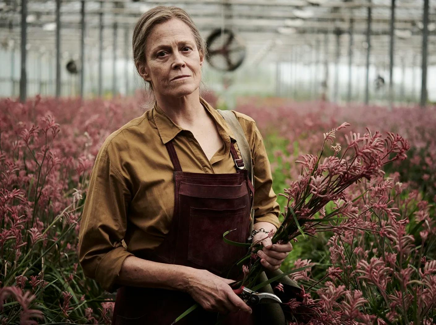 The Lost Flowers of Alice Hart anmeldelse