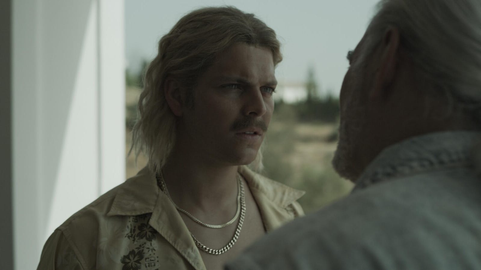 'The Viking: Narkokogens fald'