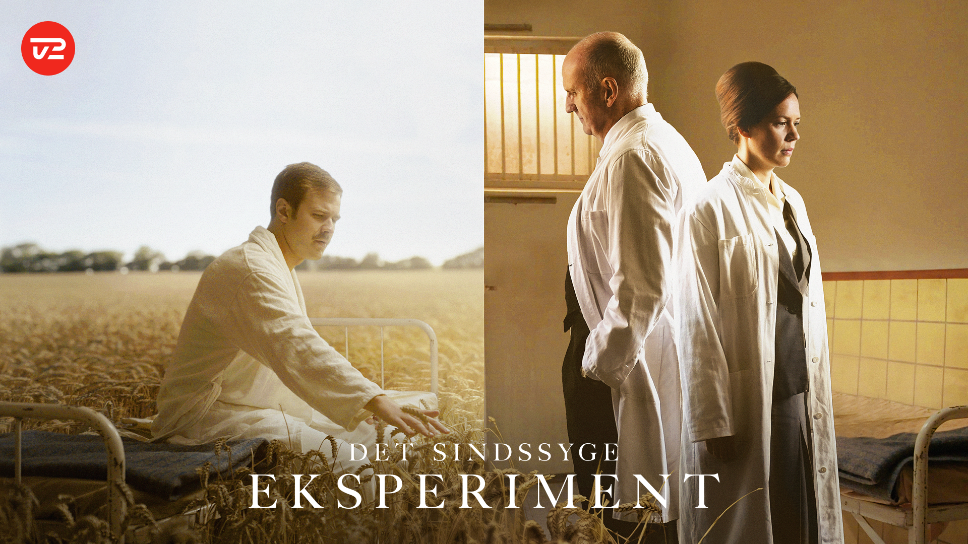 'Det sindssyge eksperiment'