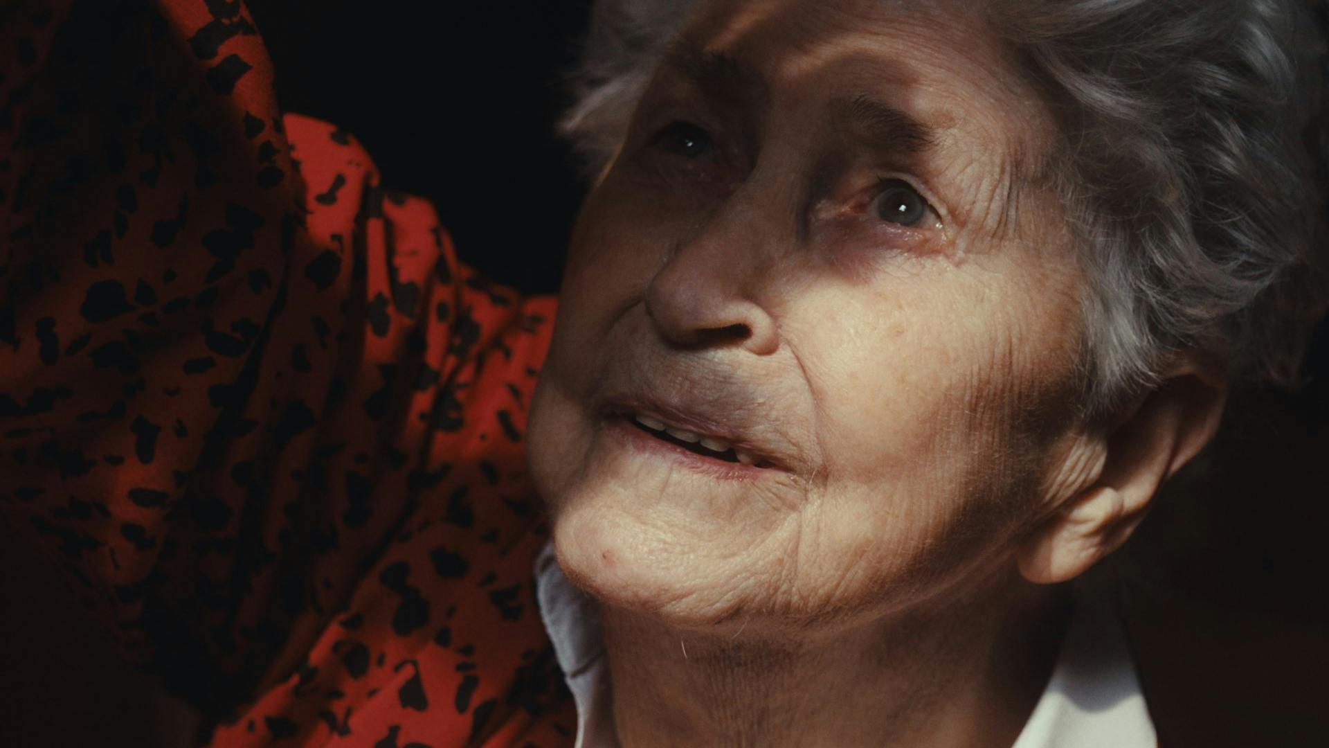 Ekko af kærlighed anmeldelse