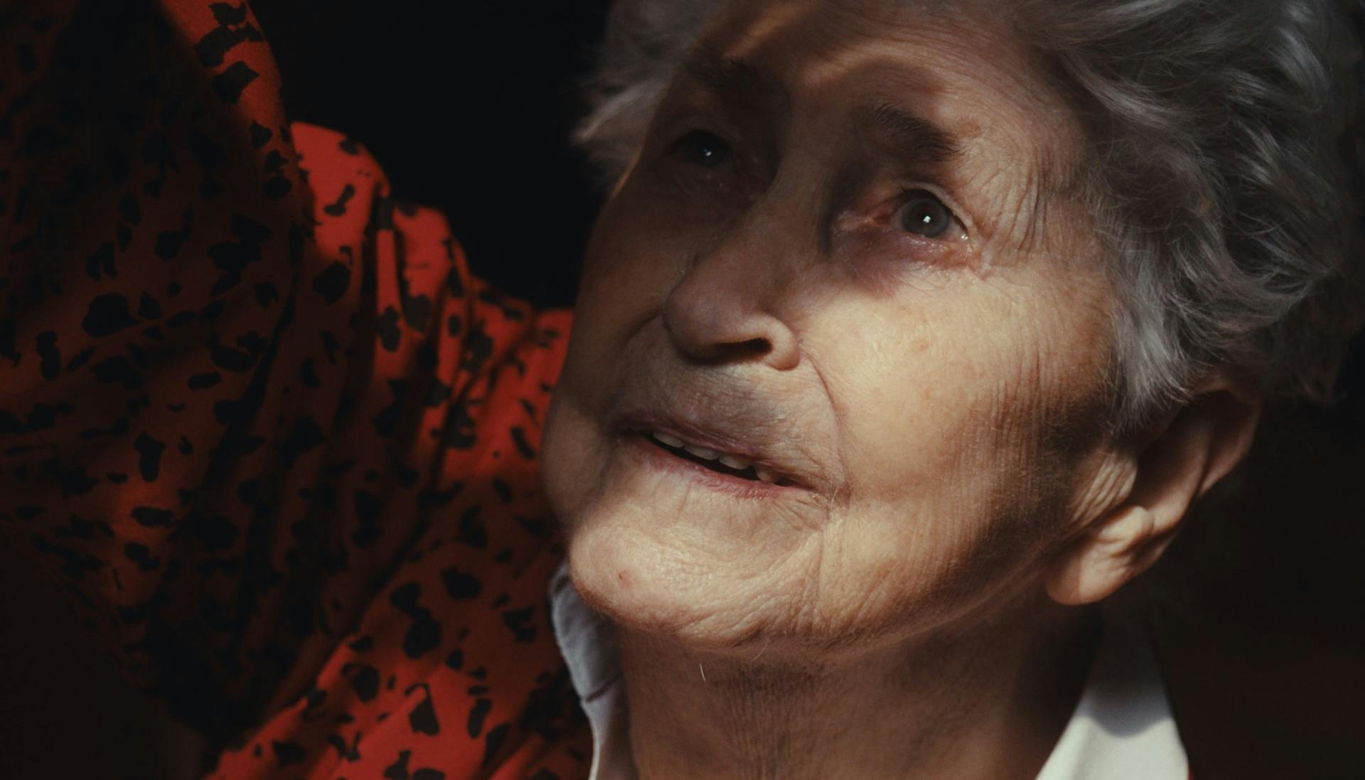 Ekko af kærlighed anmeldelse