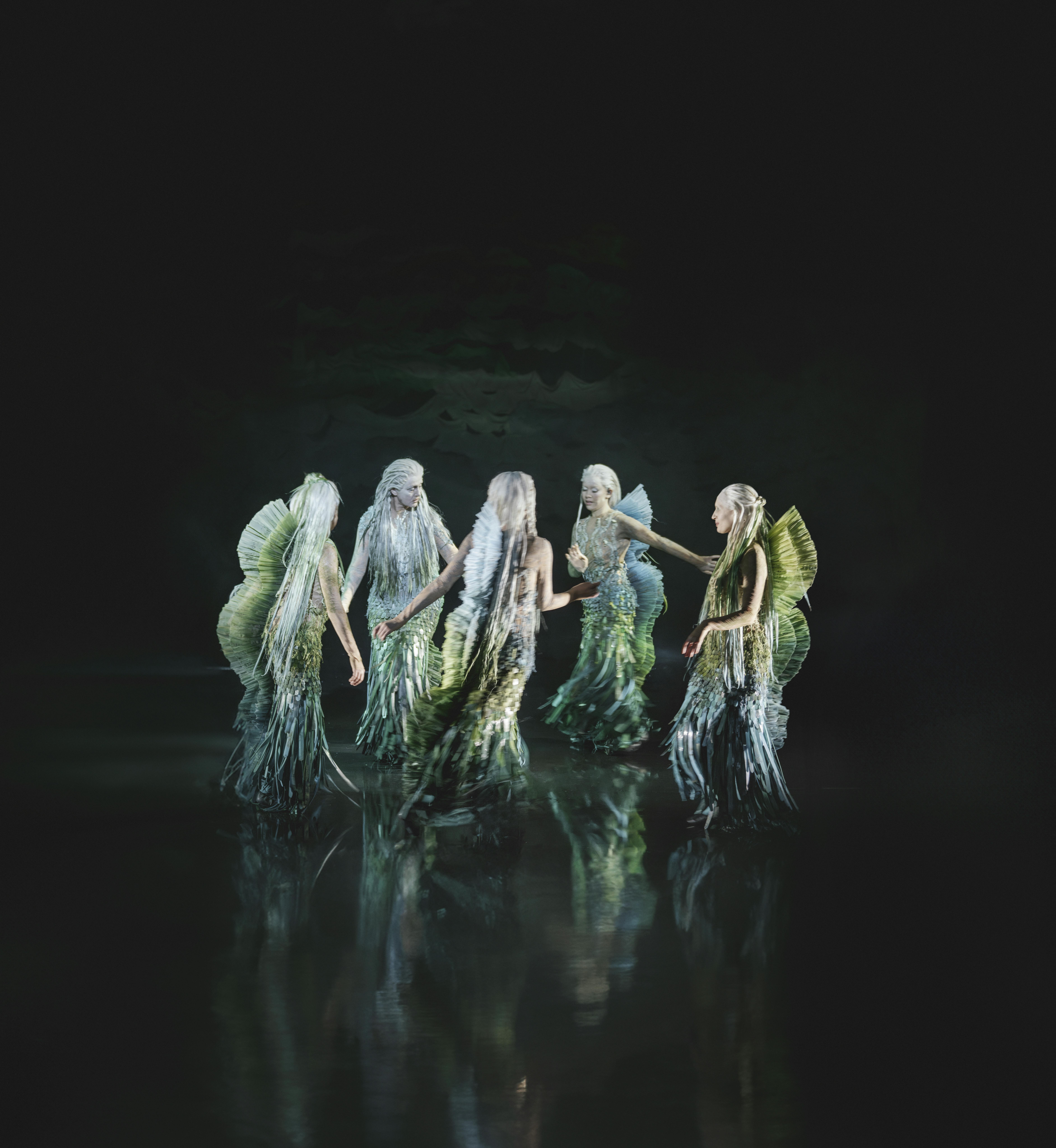 Den lille havfrue på Det Kongelige Teater anmeldelse