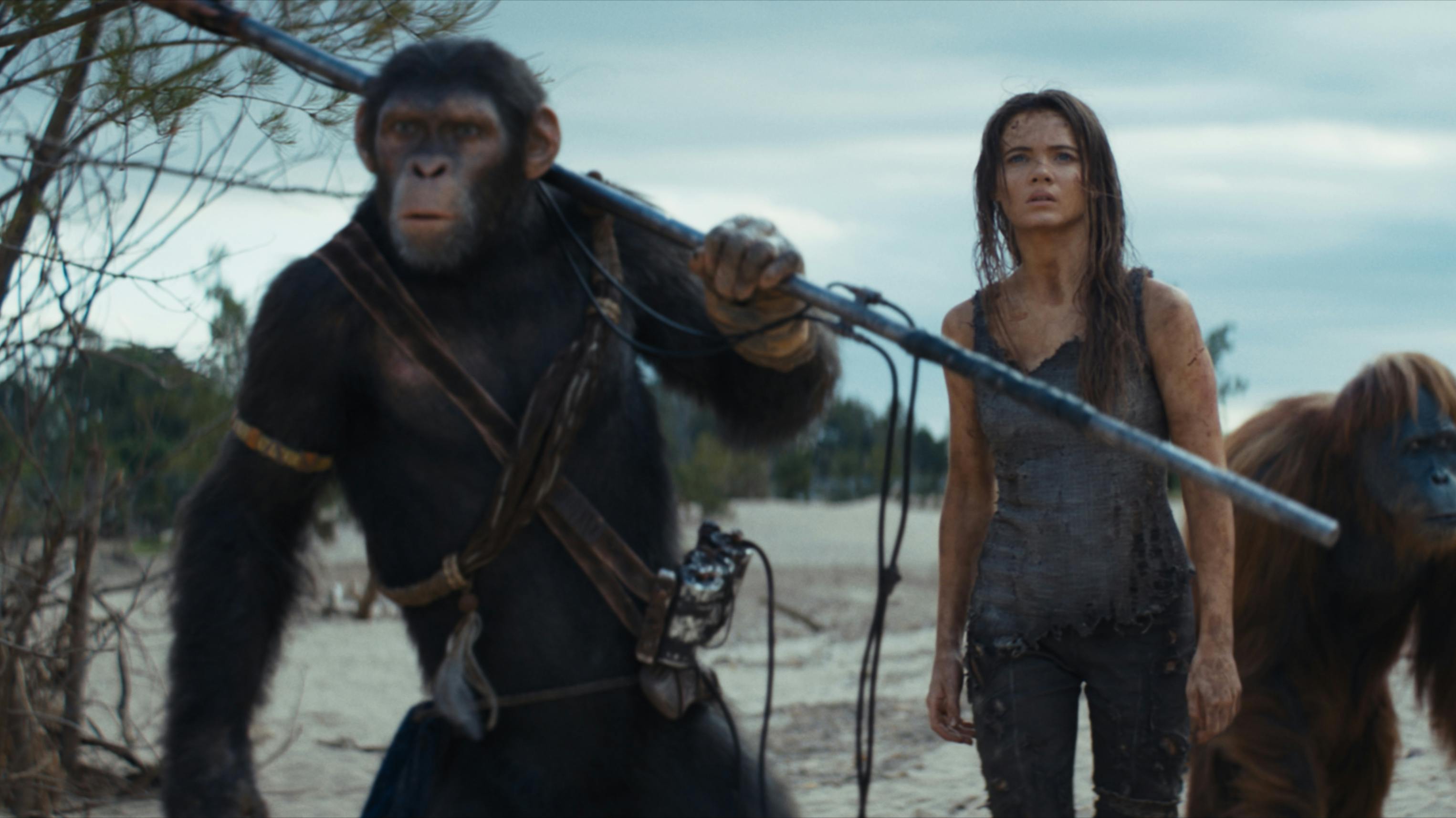 KINGDOM OF THE PLANET OF THE APES anmeldelse