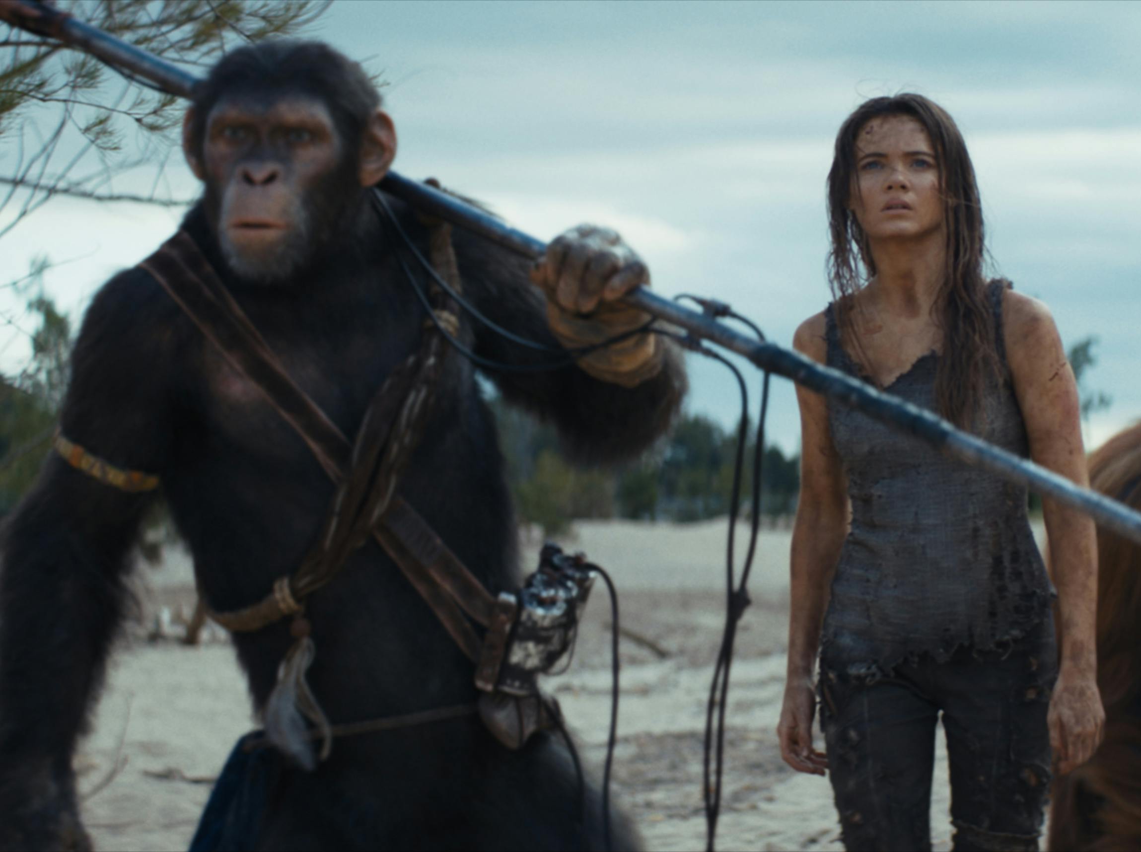 KINGDOM OF THE PLANET OF THE APES ammeldelse