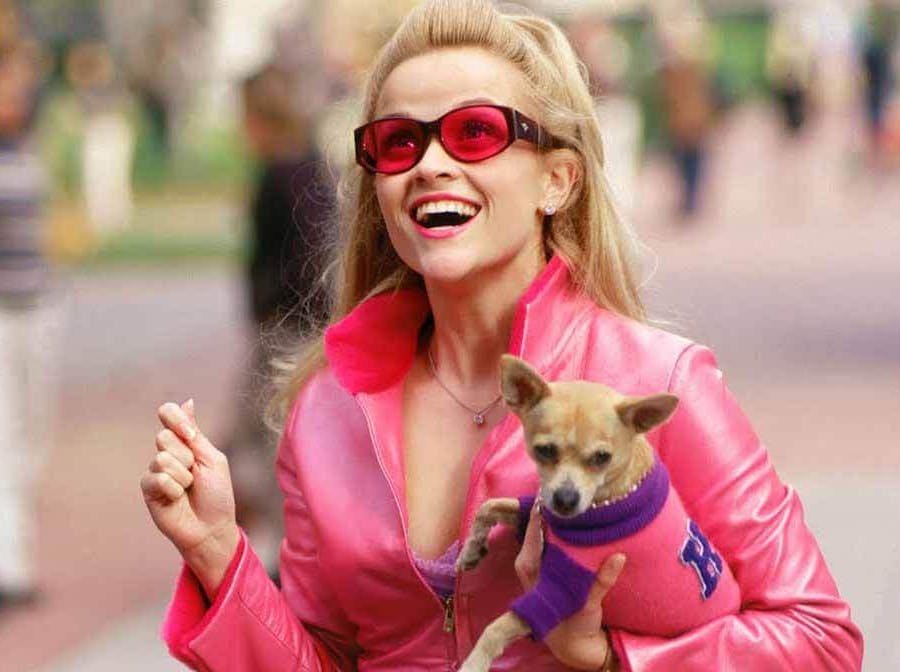 https://imgix.vielskerserier.dk/2024-05-15/chrichrimaj2020legallyblonde.jpeg