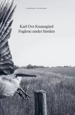 Karl Ove Knausgårds 10 bedste bøger