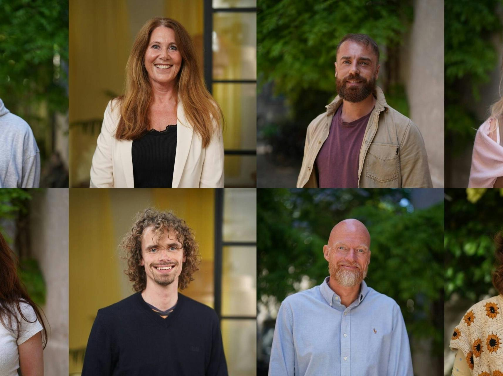 gift ved første blik deltagere