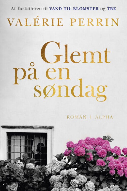 Valérie Perrin: Glemt på en søndag
