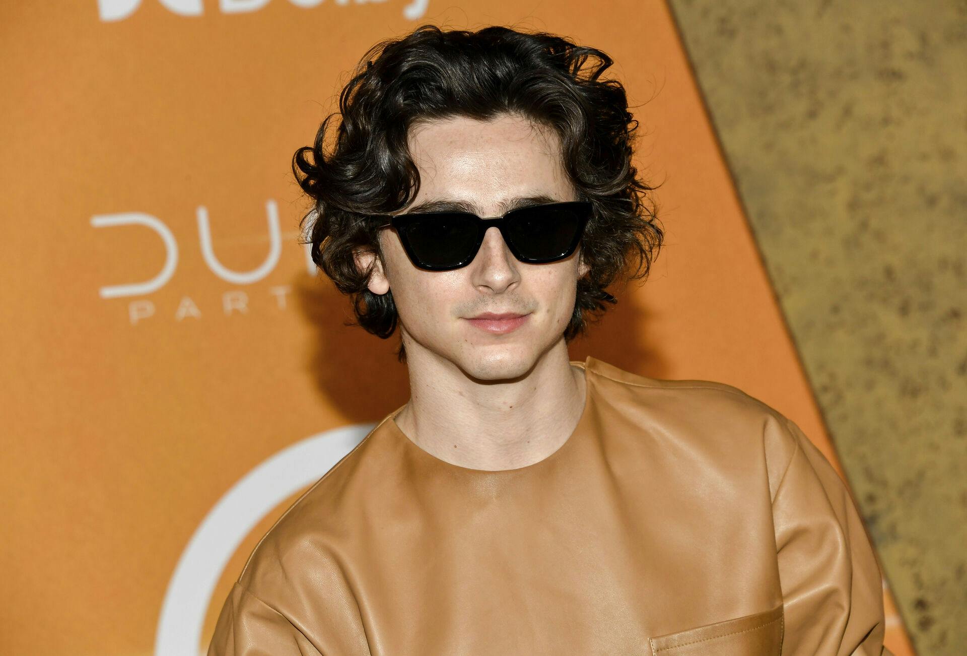 Timothee Chalamet attends the premiere of "Dune: Part Two" at Lincoln Center Plaza on Sunday, Feb. 25, 2024, in New York. (Photo by Evan Agostini/Invision/AP)