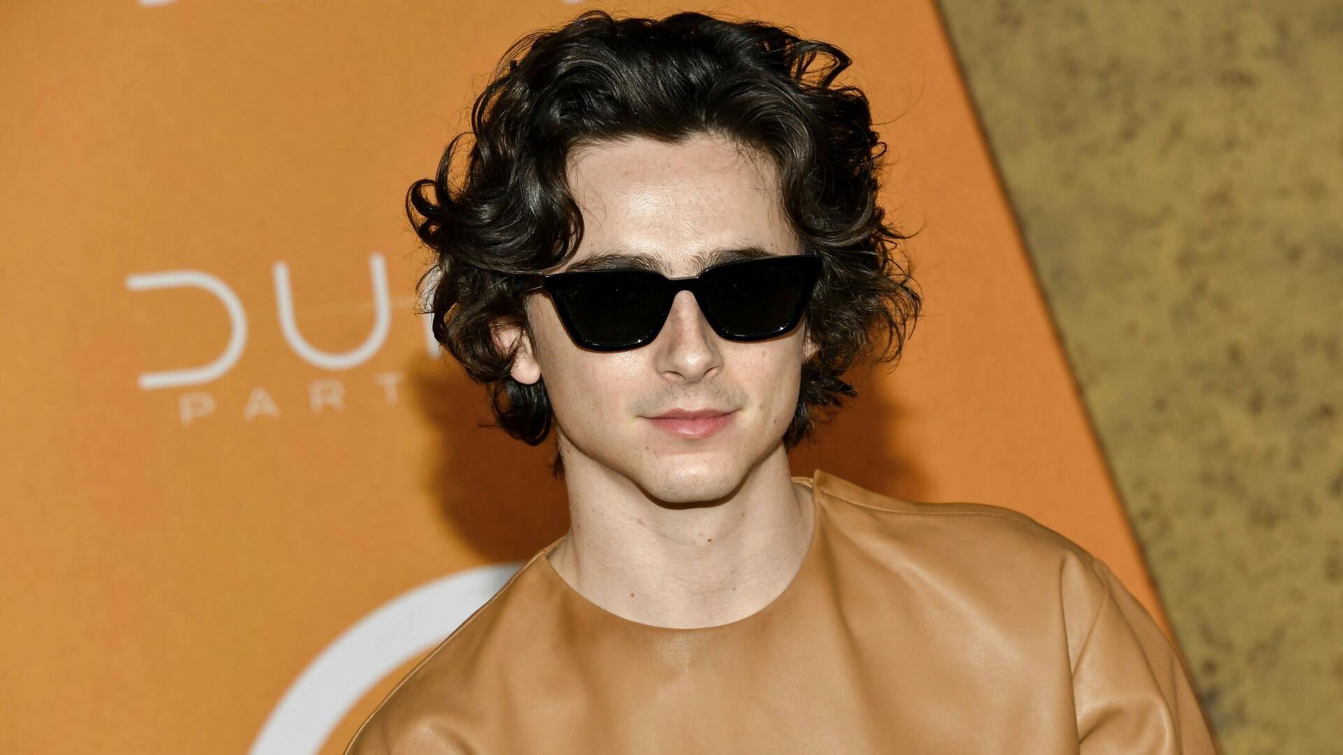Timothee Chalamet attends the premiere of "Dune: Part Two" at Lincoln Center Plaza on Sunday, Feb. 25, 2024, in New York. (Photo by Evan Agostini/Invision/AP)