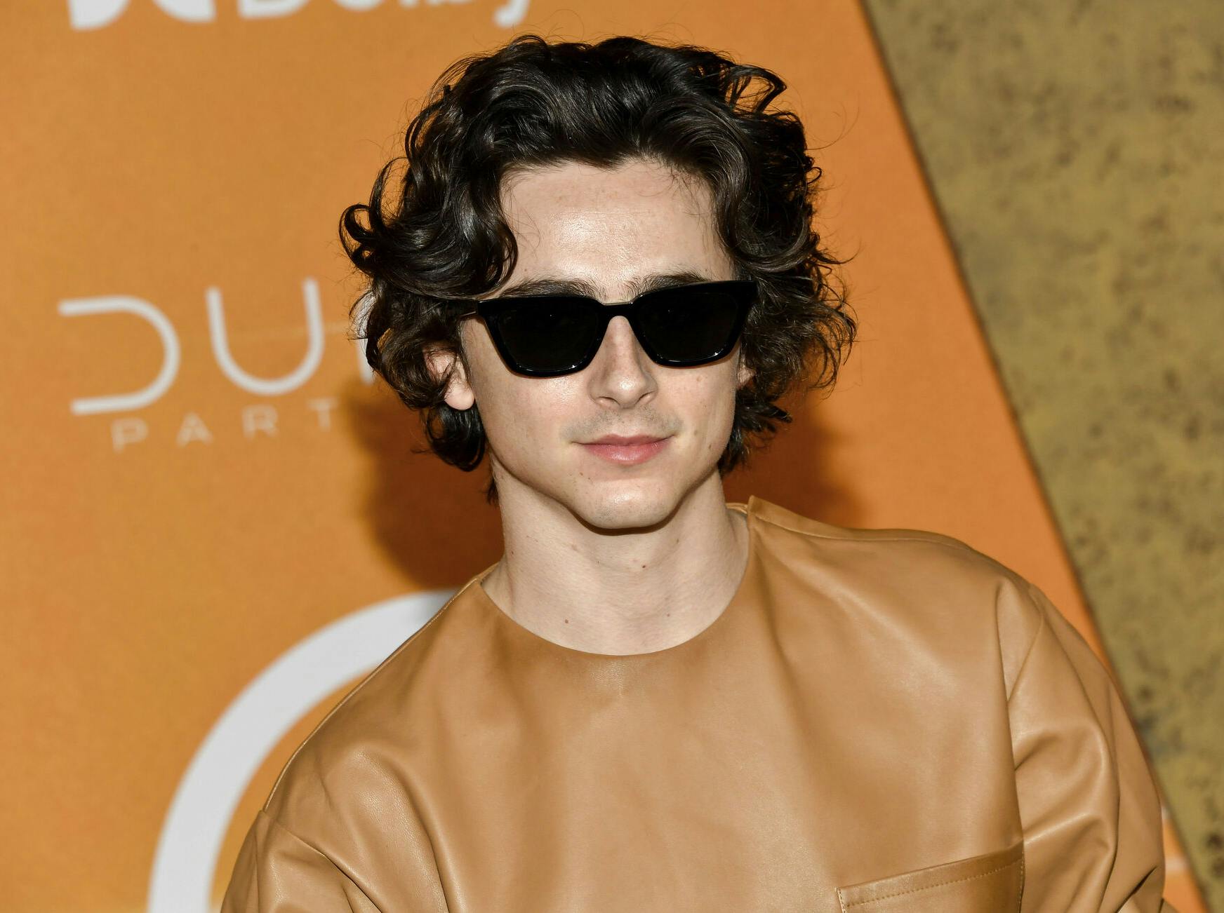 Timothee Chalamet attends the premiere of "Dune: Part Two" at Lincoln Center Plaza on Sunday, Feb. 25, 2024, in New York. (Photo by Evan Agostini/Invision/AP)