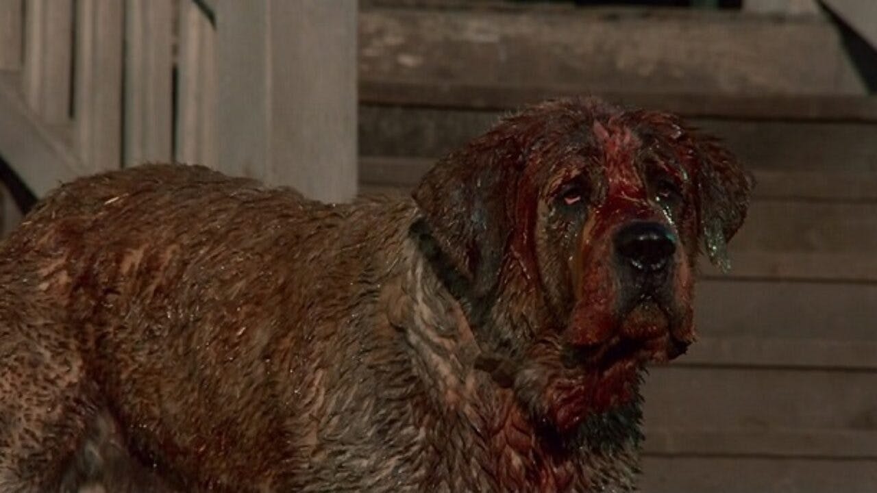 Fra filmatiseringen af 'Cujo', 1983