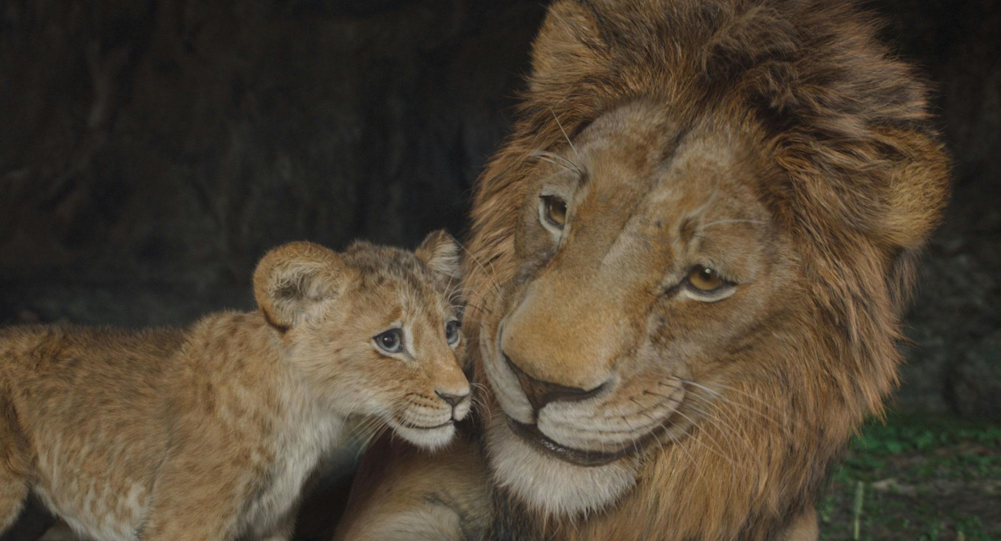 (L-R) Kiara (voiced by Blue Ivy Carter) and Simba (voiced by Donald Glover) in Disney’s live-action MUFASA: THE LION KING. Photo courtesy of Disney. © 2024 Disney Enterprises Inc. All Rights Reserved.
