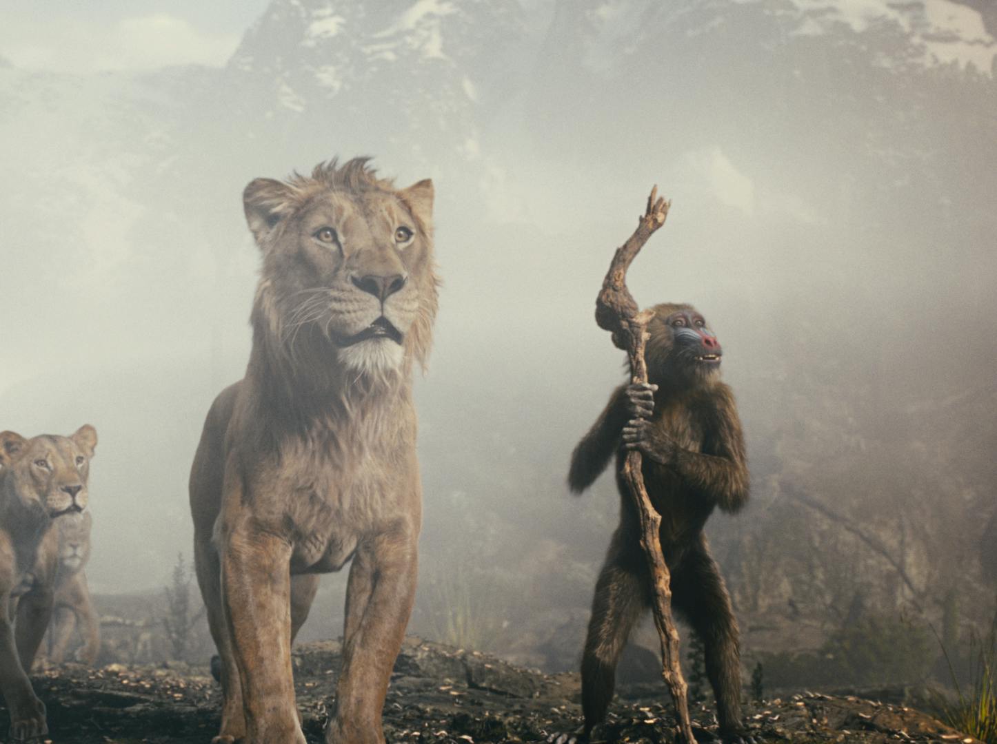 (L-R): Sarabi (voiced by Tiffany Boone), Taka (voiced by Kelvin Harrison Jr.), Mufasa (voiced by Aaron Pierre), and Rafiki (voiced by Kagiso Lediga) in Disney’s live-action MUFASA: THE LION KING. Photo courtesy of Disney. © 2024 Disney Enterprises Inc. All Rights Reserved.