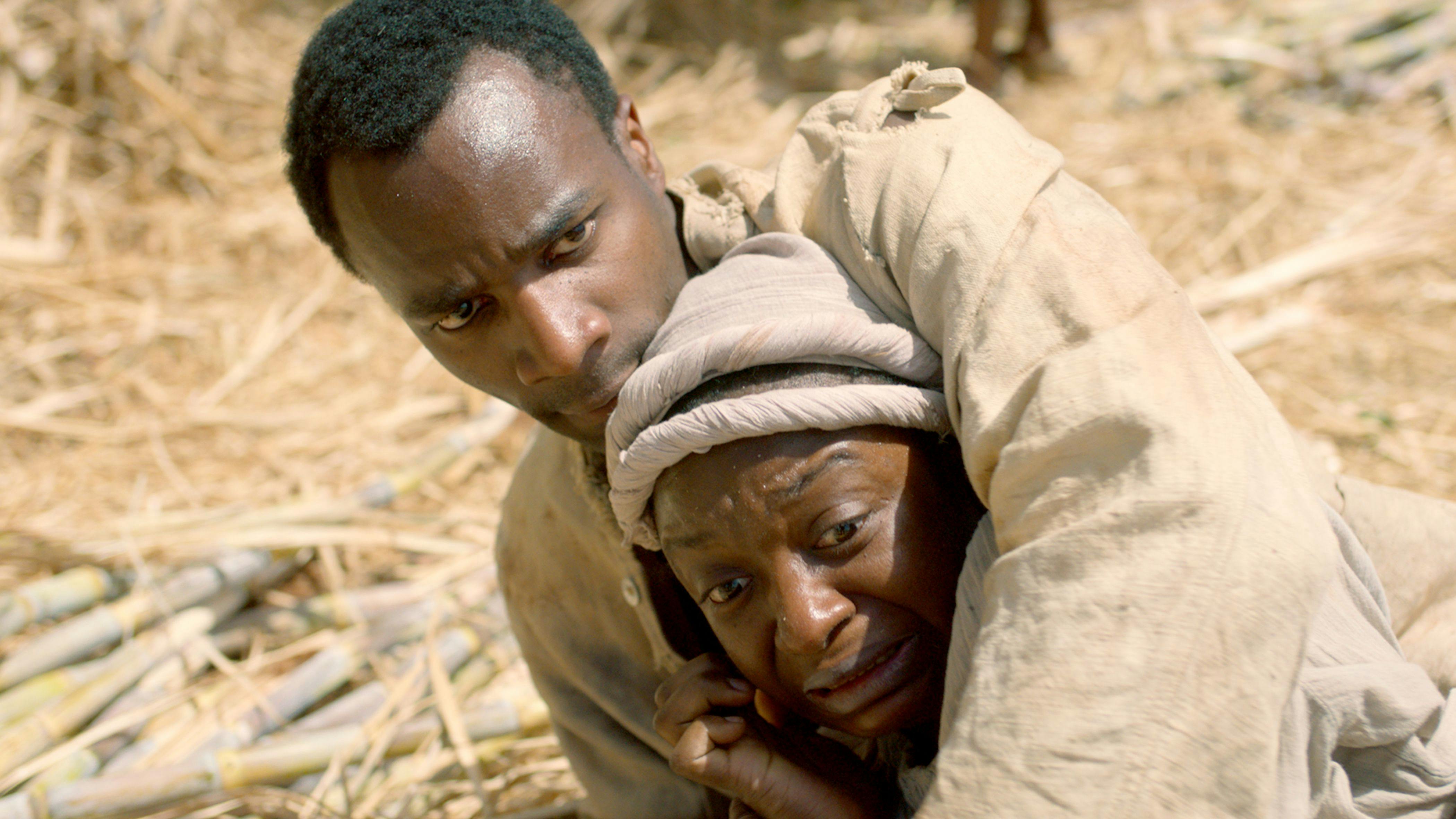 slave af danmark anmeldelse