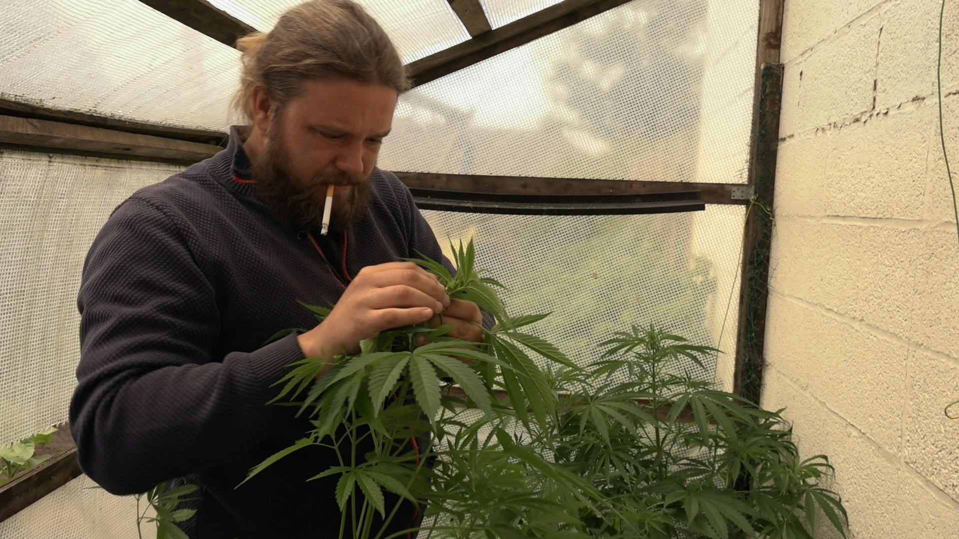 faderen sønnerne og helligånden anmeldelse