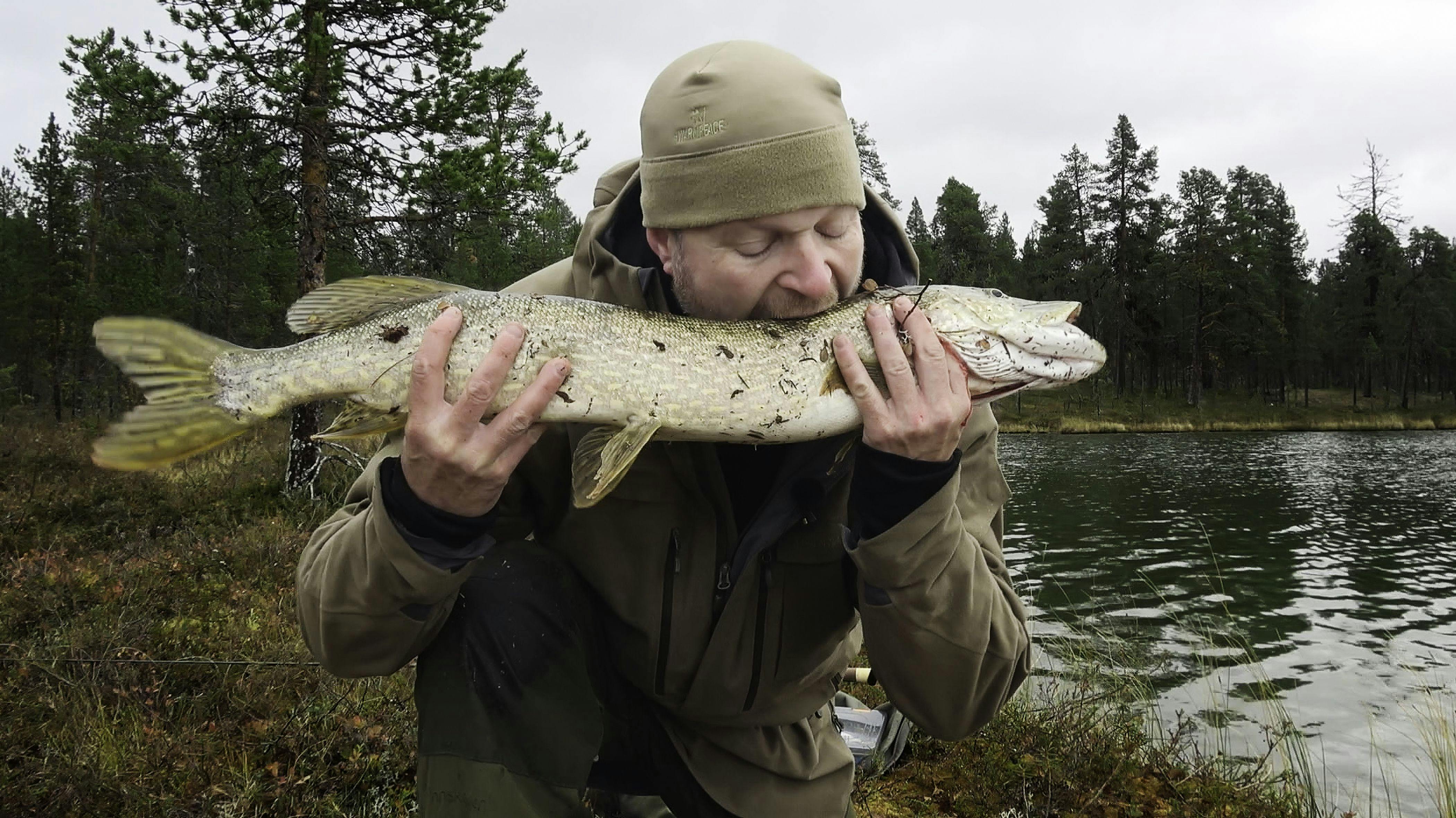 Jersing Alene i vildmarken
