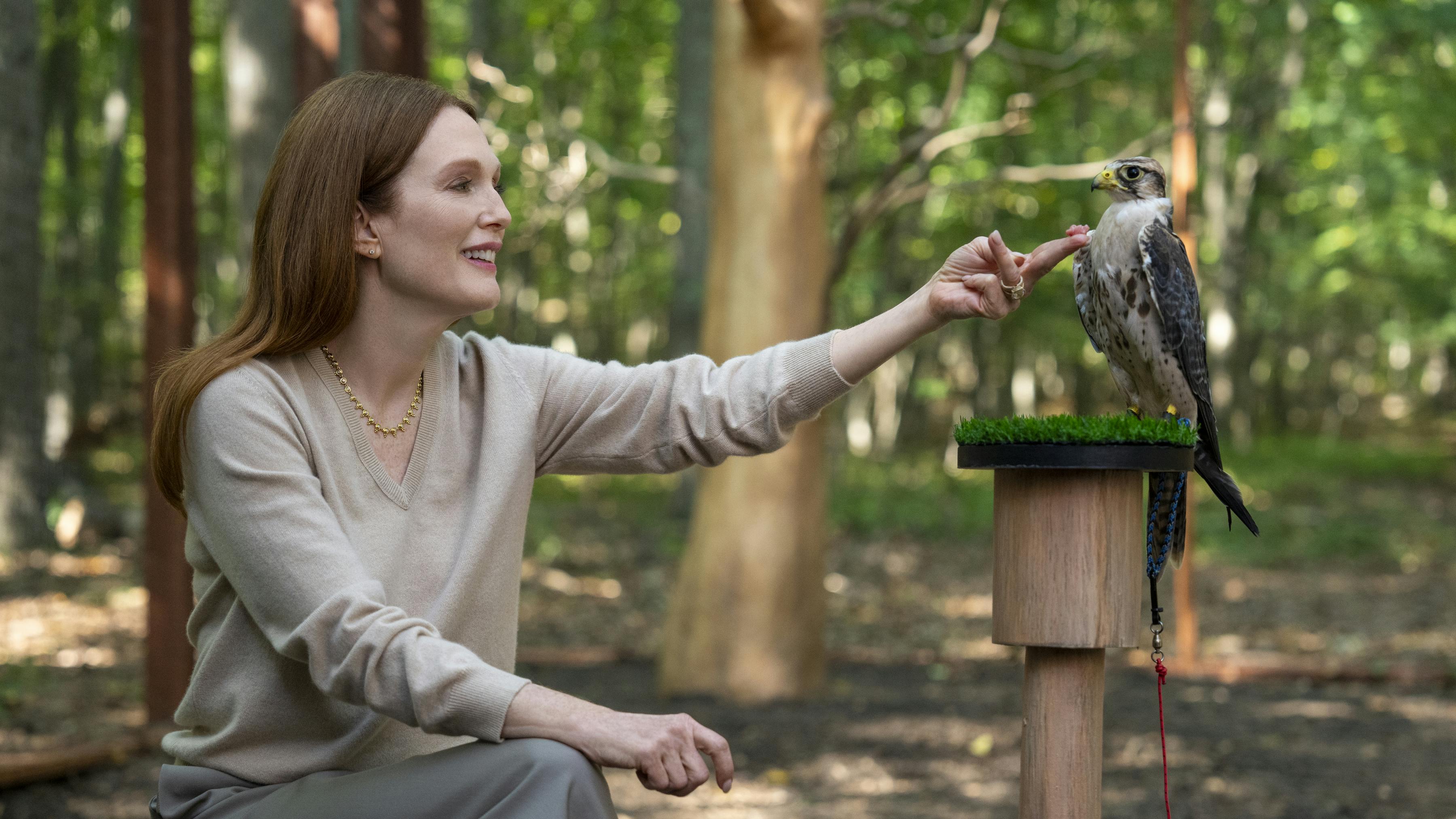 Anmeldelse af 'Sirens' på Netflix