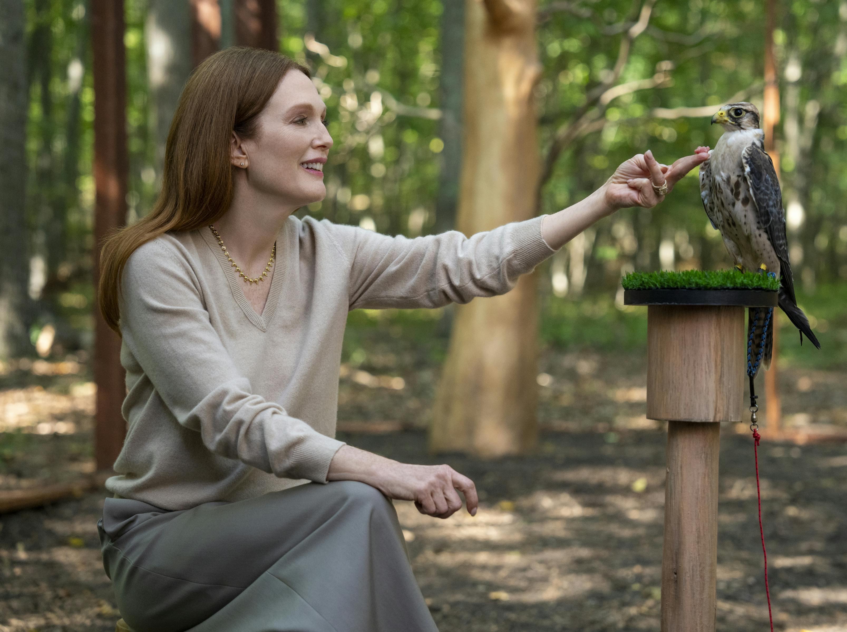 Anmeldelse af 'Sirens' på Netflix