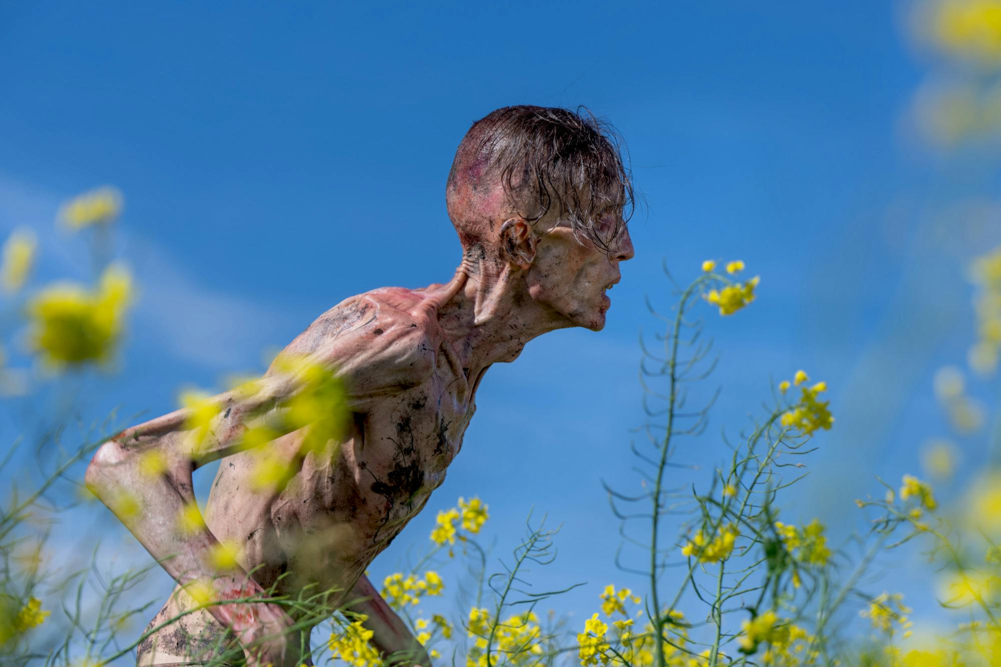 An infected in Columbia Pictures' 28 YEARS LATER anmeldelse