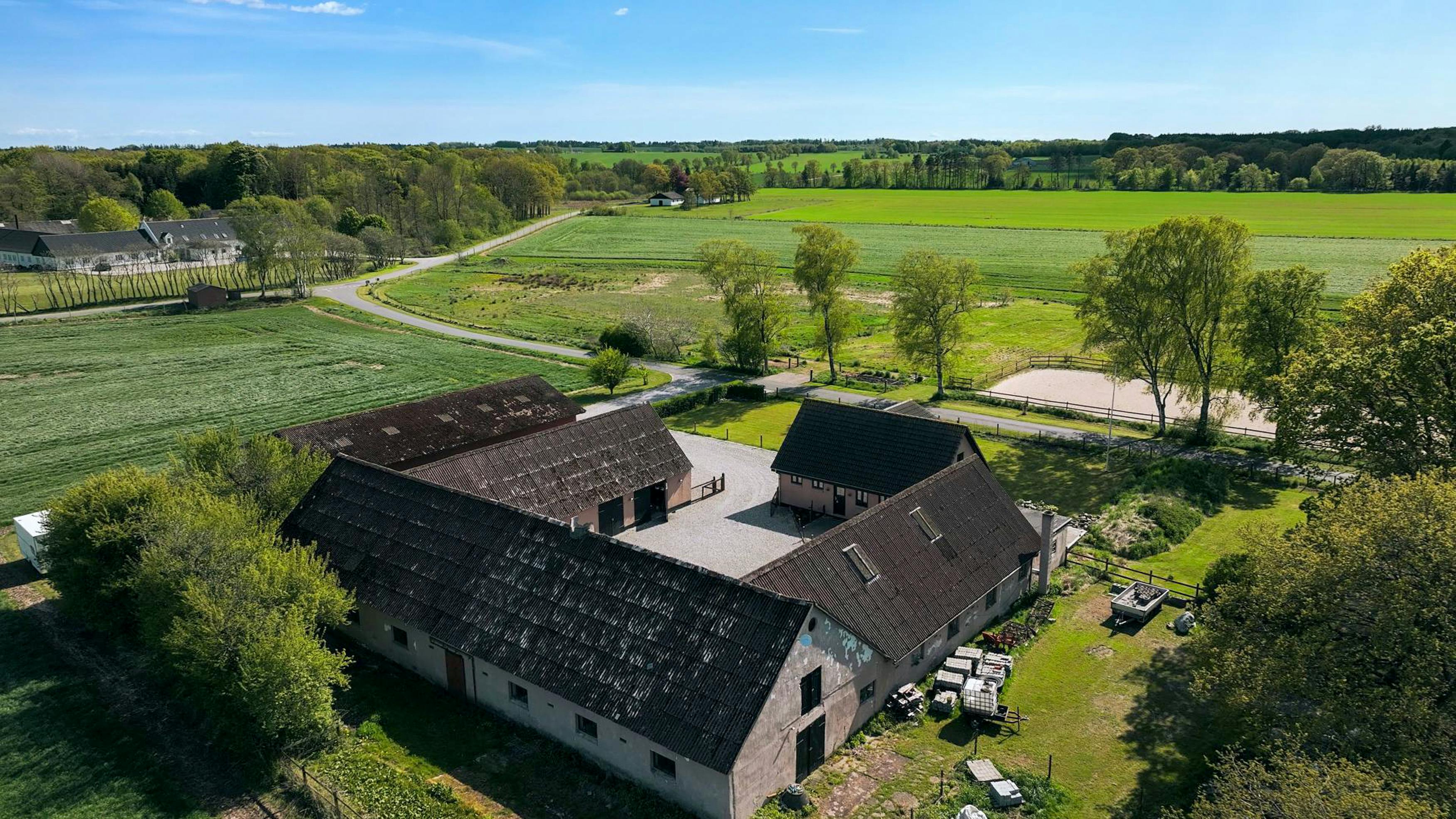 hestepigen fra helvede anmeldelse