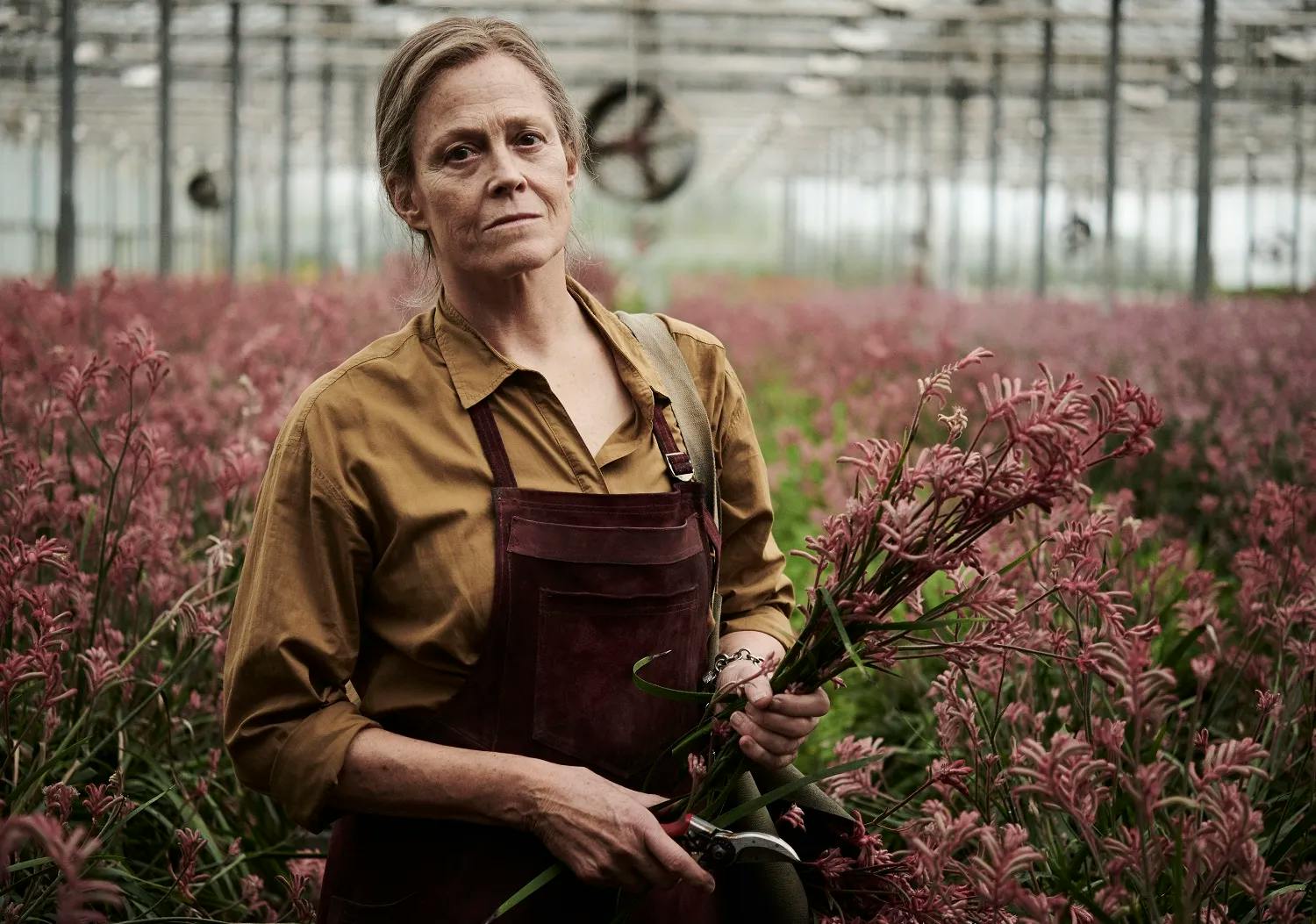 Sigourney Weaver i 'The Lost Flowers of Alice Hart'