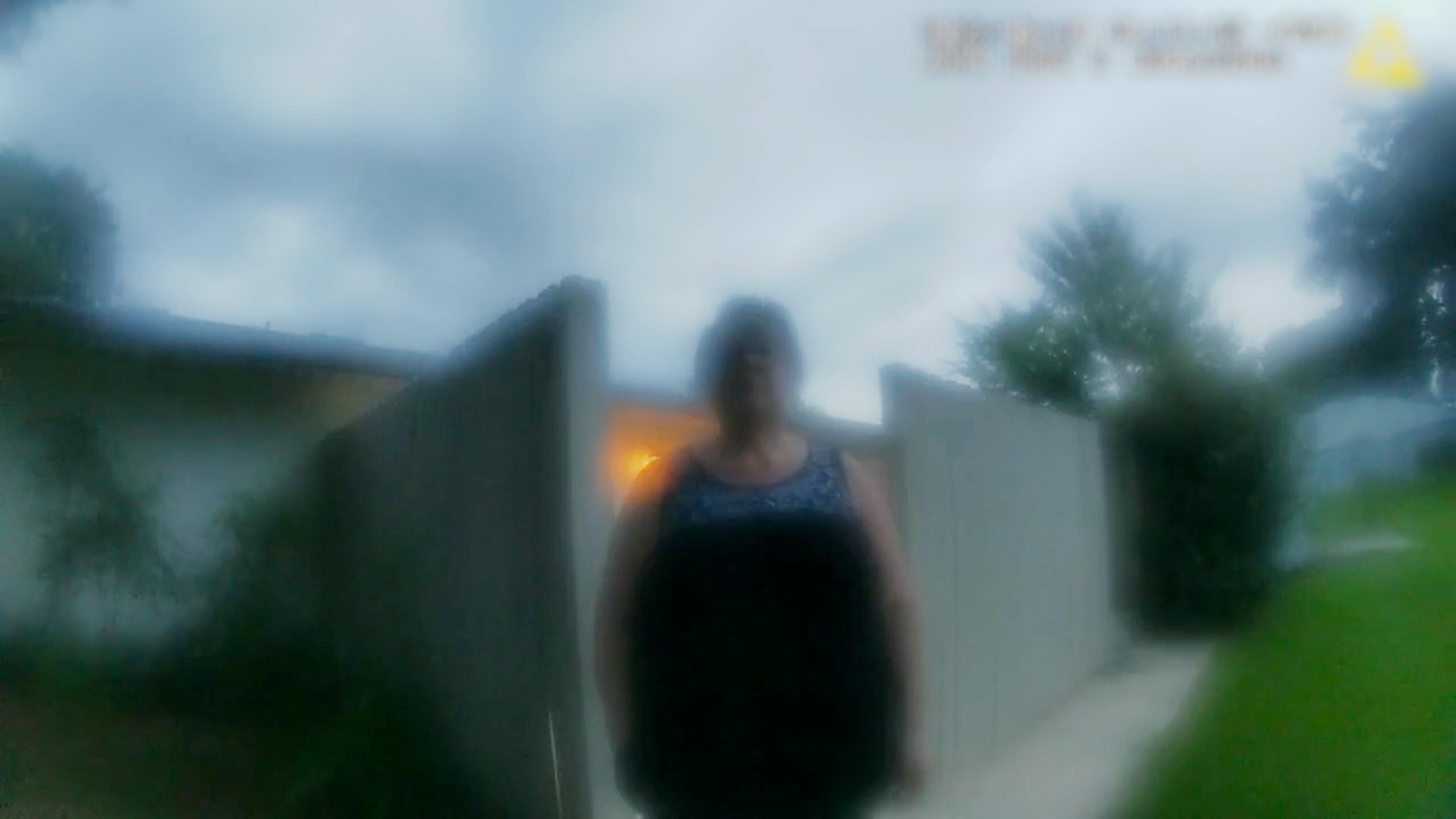 the perfect neighbor anmeldelse