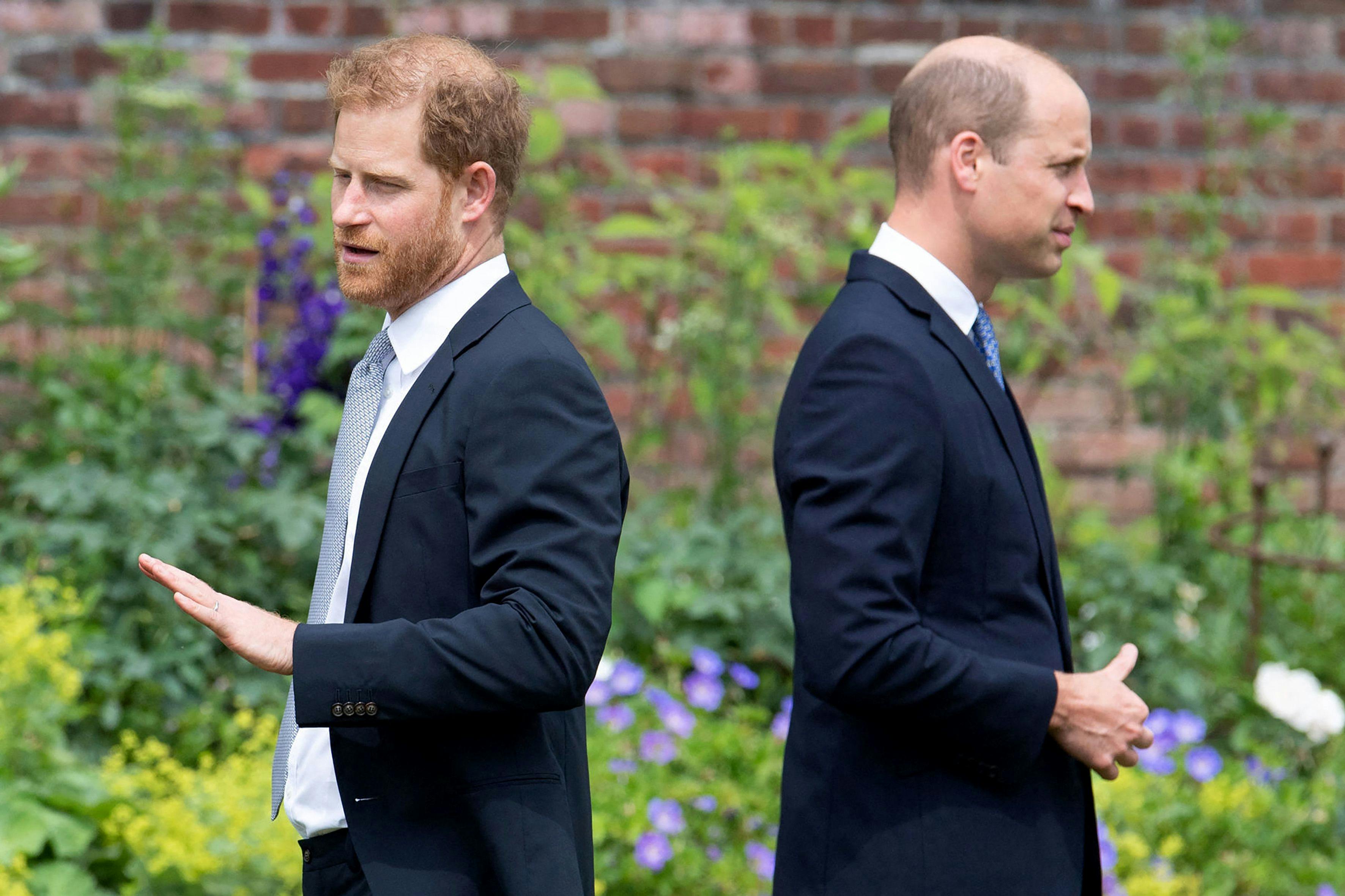 'William og Harry i kærlighed og had'